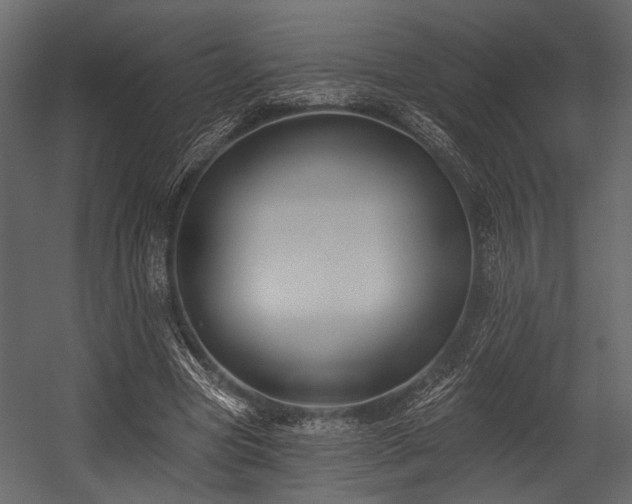 X0000054420537200508011400