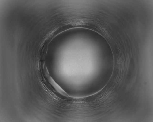 X0000054420539200508011400