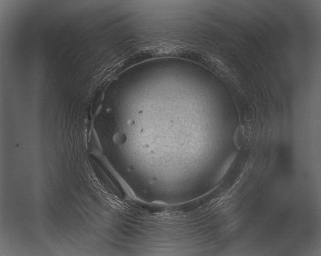 X0000054420545200508011400