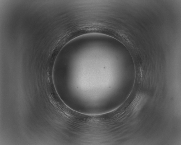 X0000054420547200508011400