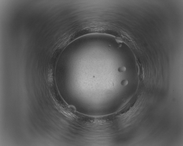 X0000054420549200508011400