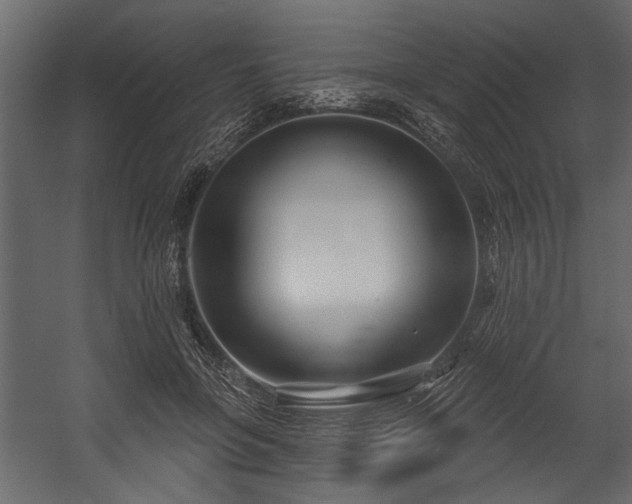 X0000054420551200508011400