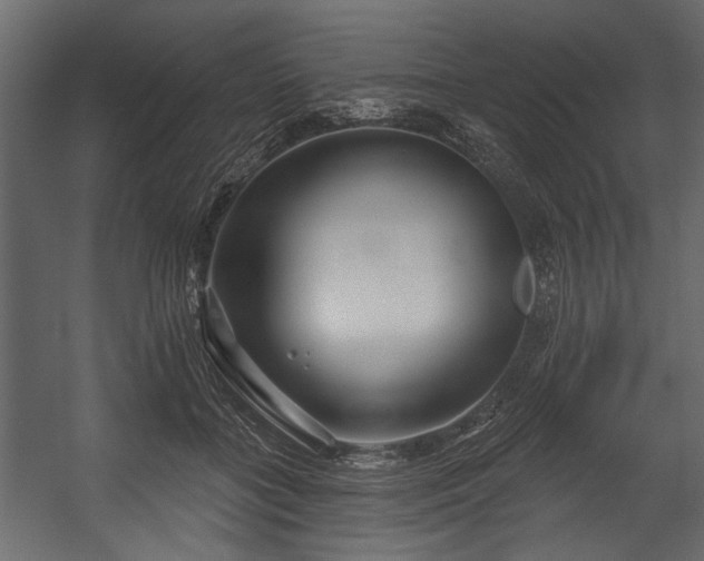 X0000054420555200508011400