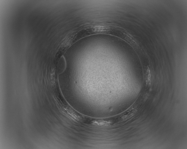 X0000054420557200508011400