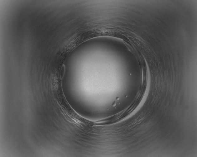 X0000054420558200508011400