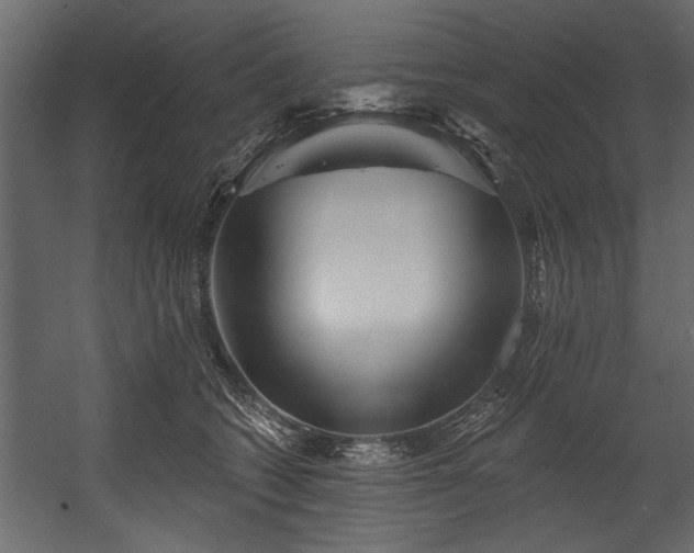 X0000054420562200508011400