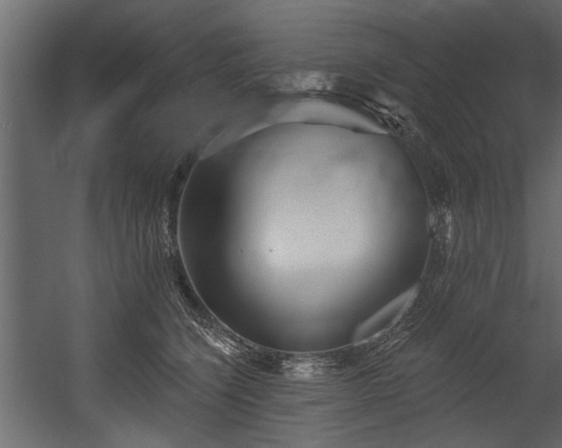 X0000054420564200508011400