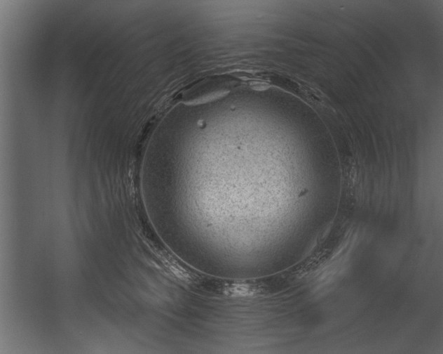 X0000054420565200508011400