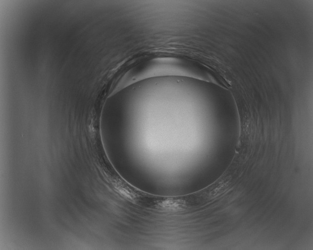 X0000054420566200508011400