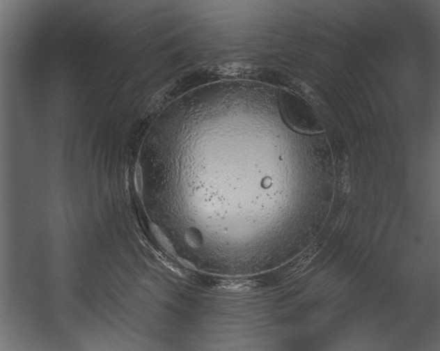 X0000054420569200508011400