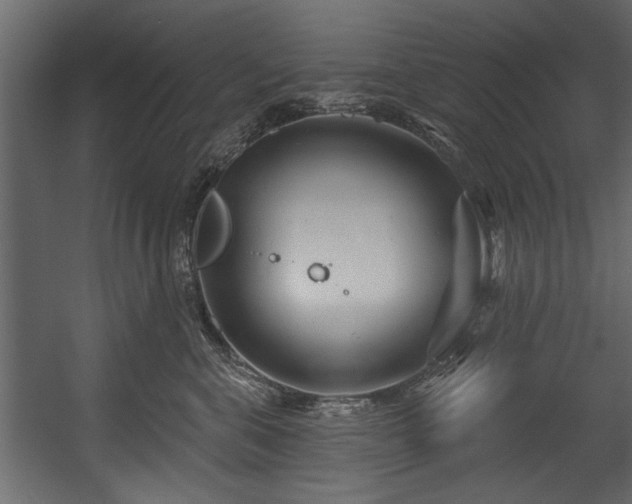 X0000054420571200508011400