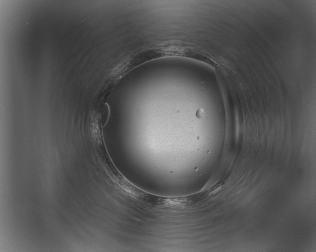 X0000054420573200508011400