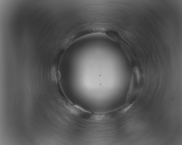 X0000054420575200508011400