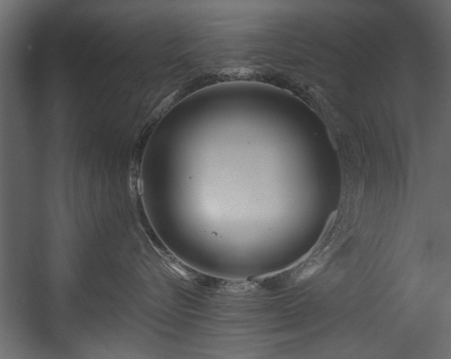 X0000054420576200508011400