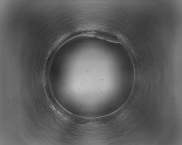 X0000054420578200508011400