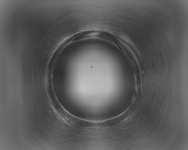 X0000054420580200508011400