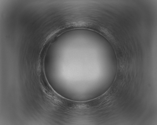 X0000054420583200508011400