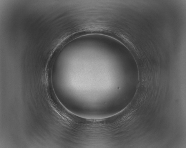 X0000054420584200508011400