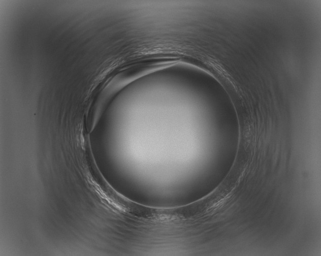 X0000054420585200508011400