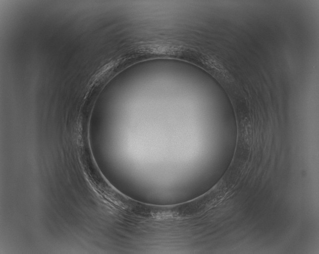 X0000054420587200508011359