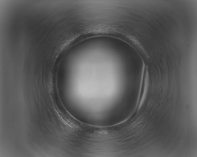 X0000054420588200508011359