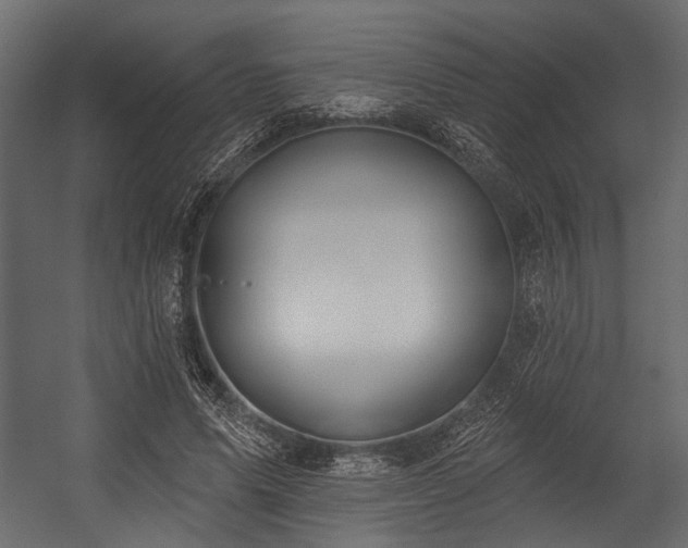 X0000054420591200508011359