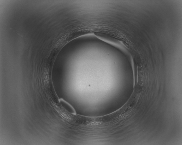 X0000054420593200508011359