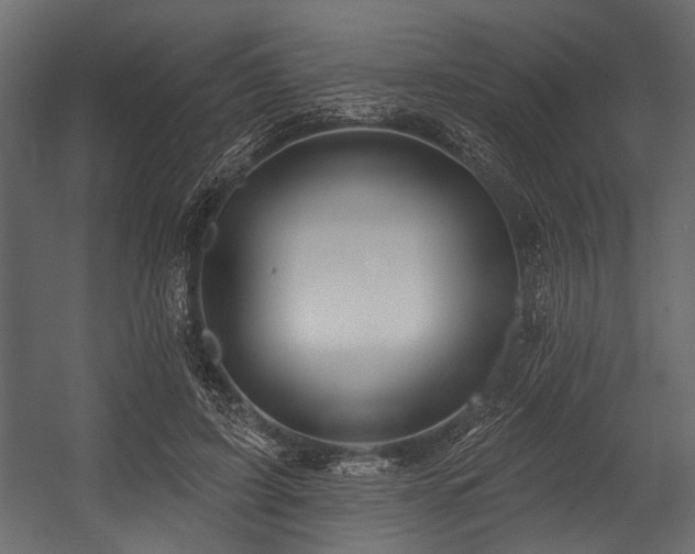 X0000054420595200508011359