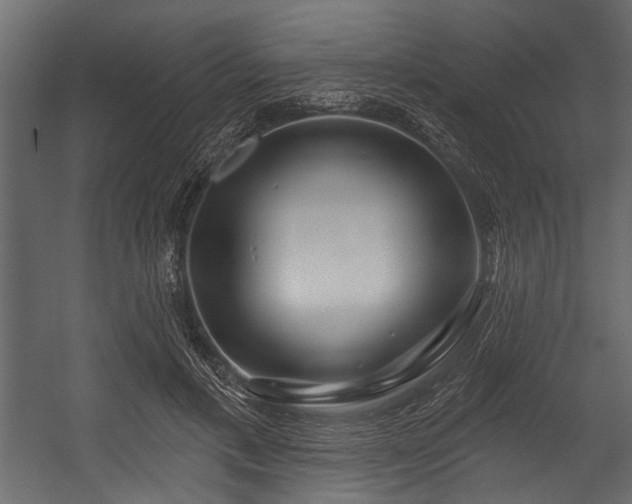 X0000054420597200508011359