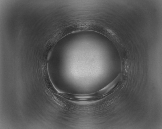 X0000054420601200508011359