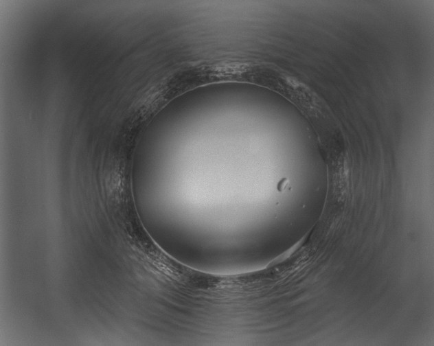 X0000054420608200508011359