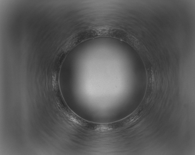 X0000054420610200508011359