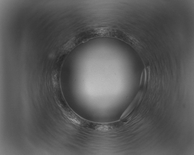 X0000054420611200508011359