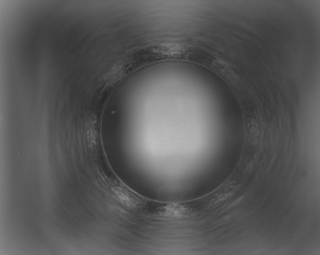 X0000054420612200508011359