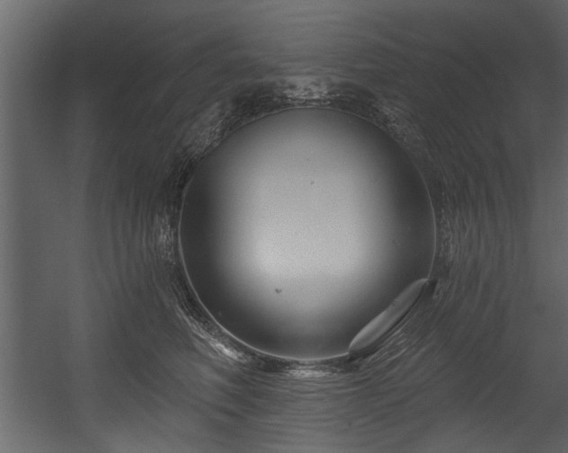 X0000054420614200508011359