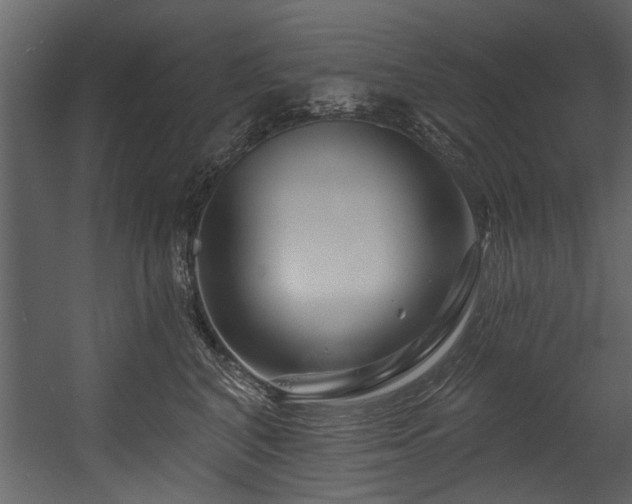 X0000054420616200508011359