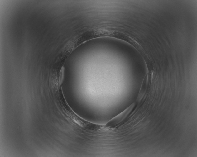 X0000054420617200508011359