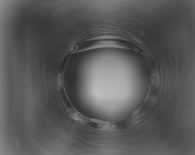 X0000054420621200508011359