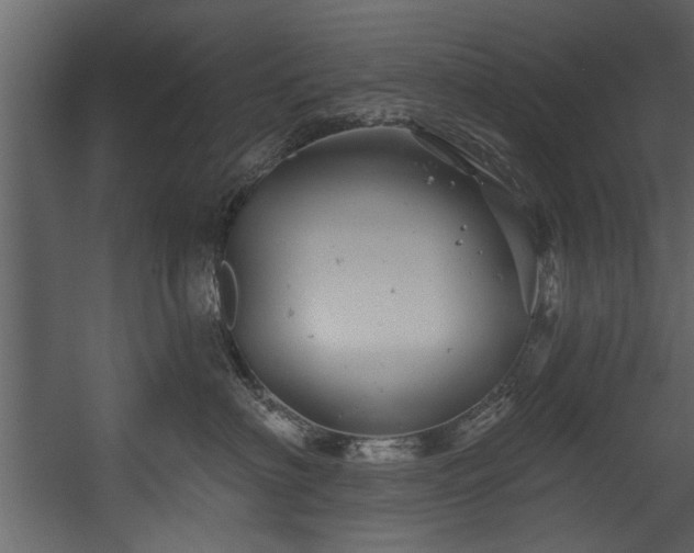 X0000054420622200508011359