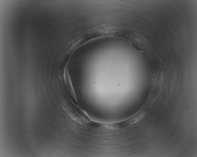 X0000054420623200508011359