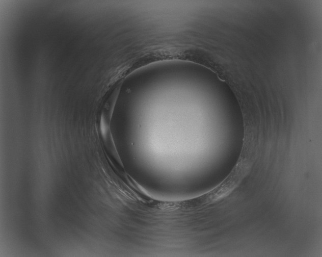 X0000054420624200508011359