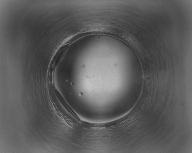 X0000054420628200508011358