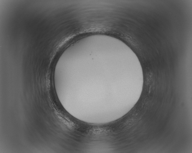 X0000054420632200508011358