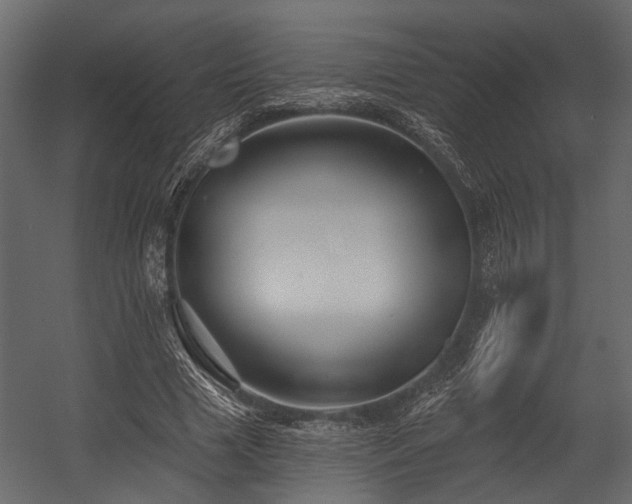 X0000054420633200508011358