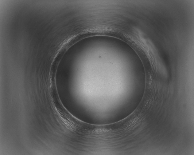 X0000054420636200508011358