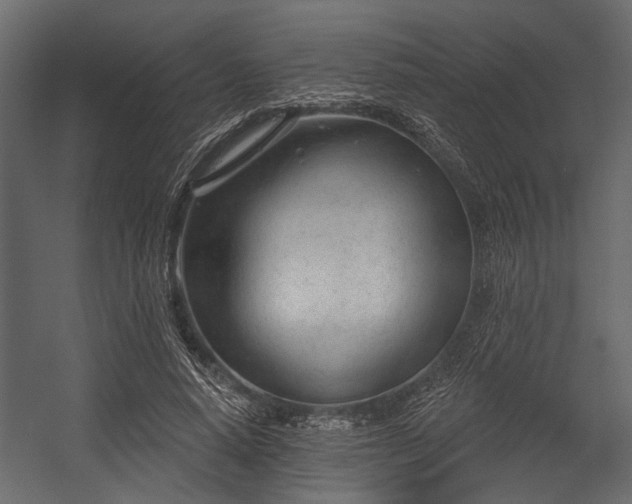 X0000054420640200508011358