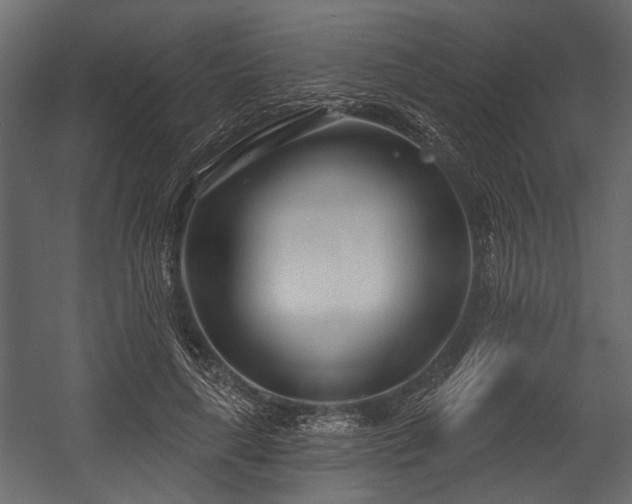 X0000054420643200508011358