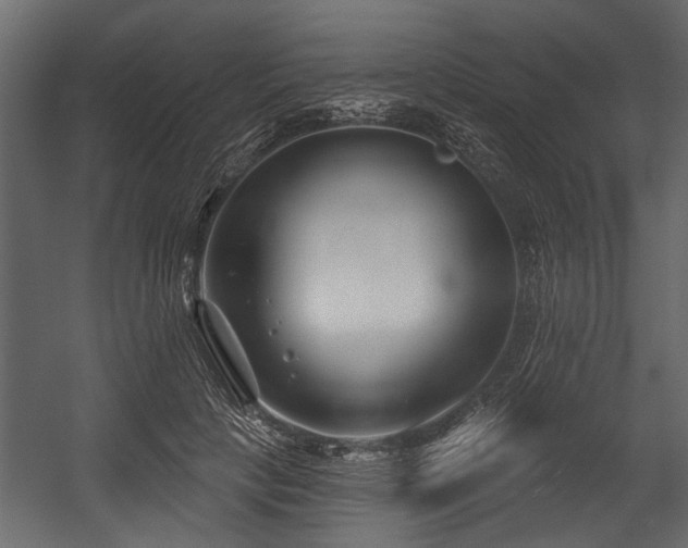 X0000054420649200508011358