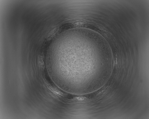 X0000054420654200508011359