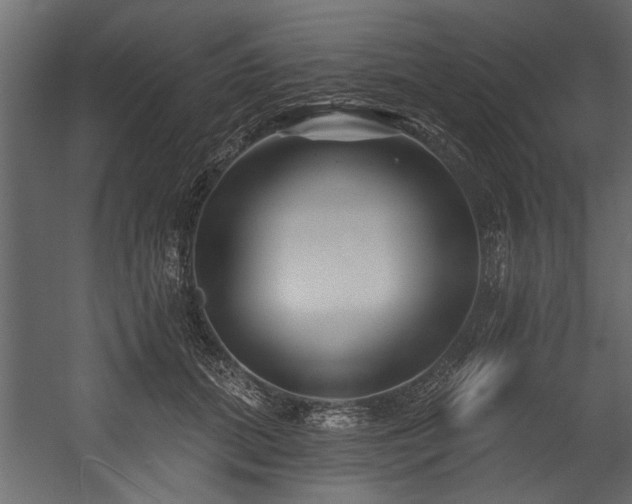 X0000054420655200508011359